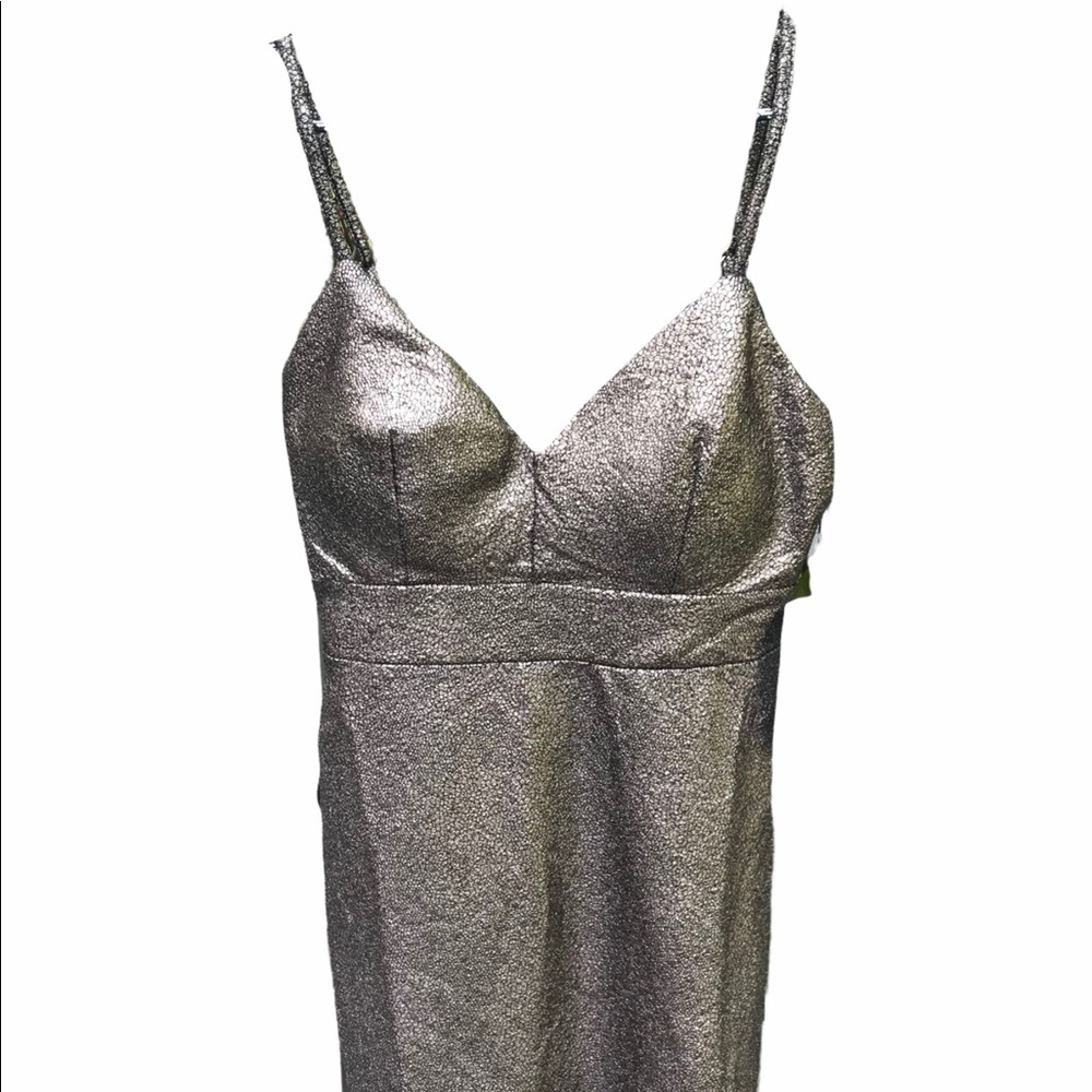 Iris dress NWT shimmery gold size small